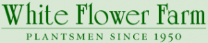  White Flower Farm Promo Codes
